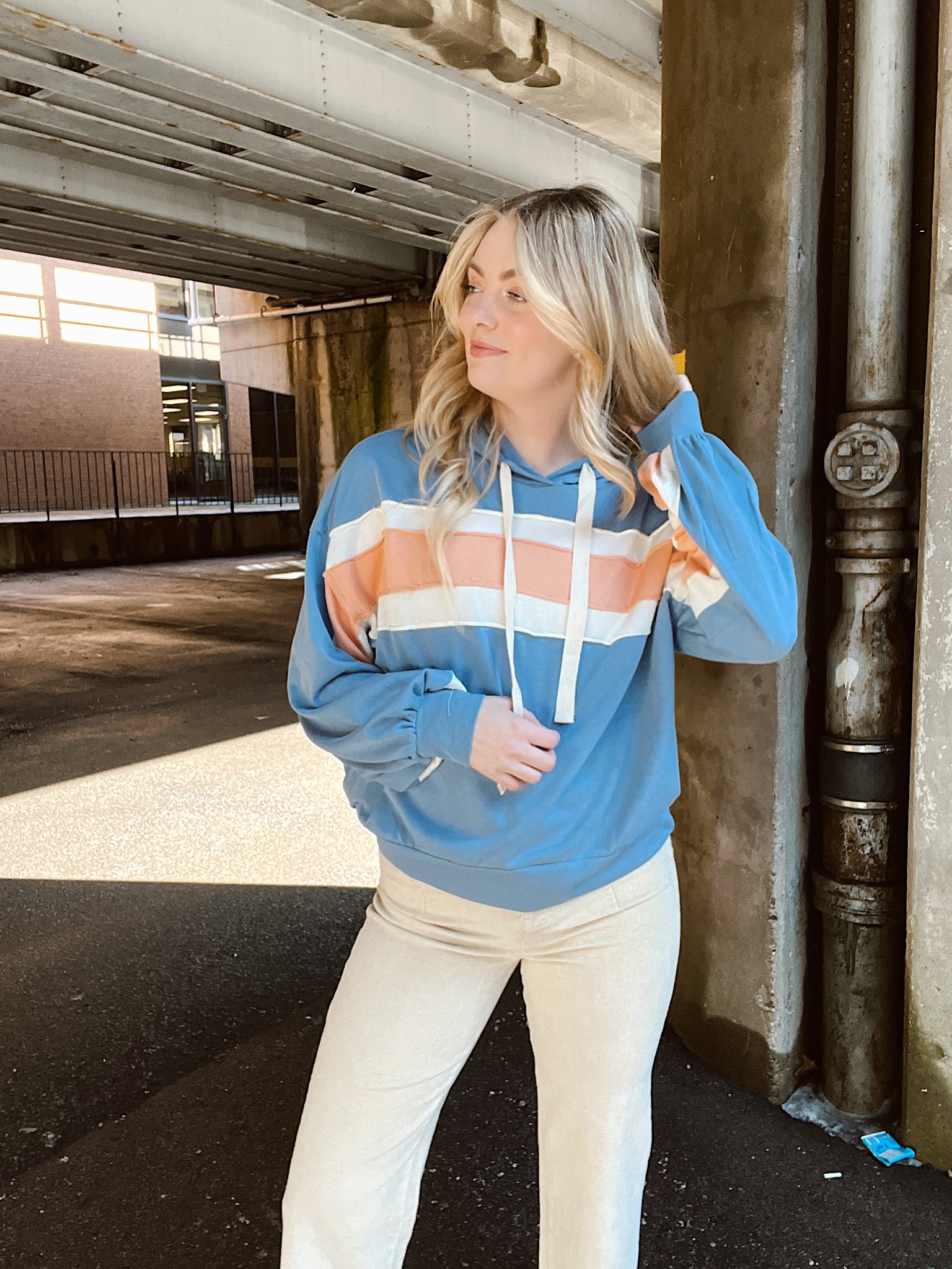 Hadley Denim Striped Hoodie